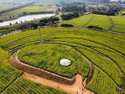 艾弗森ballbet 什邡园林绿化工程资料管理规程