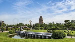 我国城市绿化发展规划